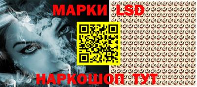 крисы Братск