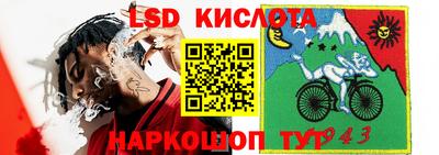 крисы Братск