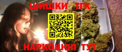 крисы Братск